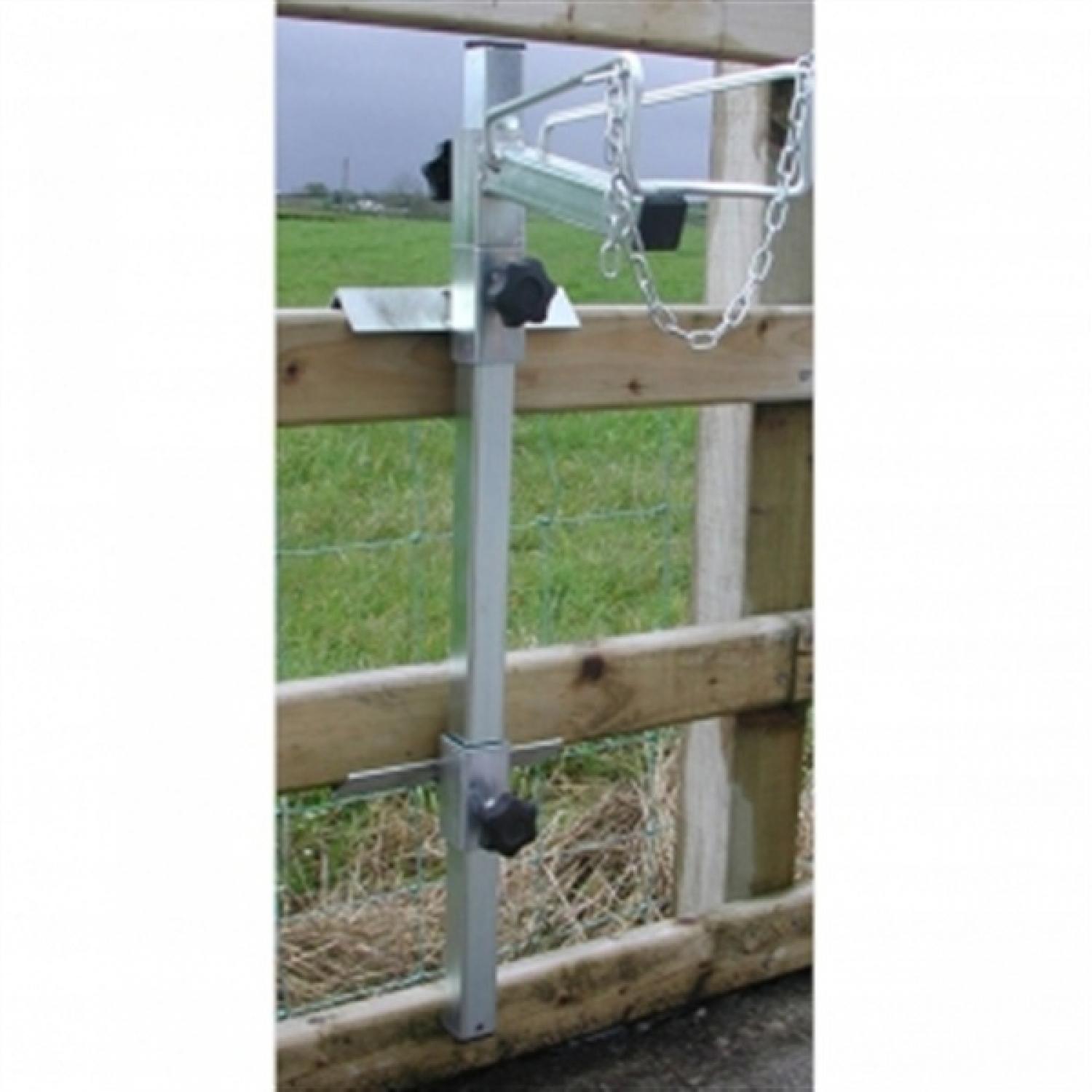 Showtime Sheep & Calf Headstock