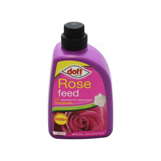  Doff Rose Feed 