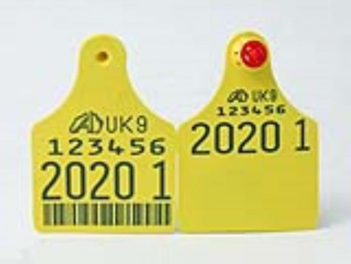  Caisley Large Replacement Management Space & Barcode Tag