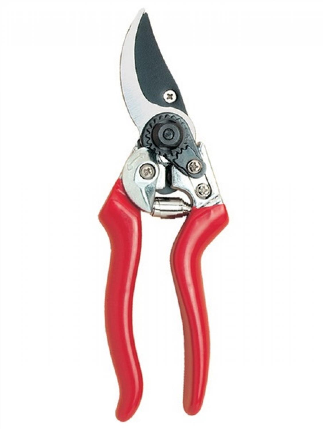 Buy C.K Legend Bypass Pruners G5631 from Fane Valley Stores