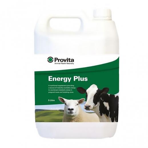  Provita Energy Plus 5L