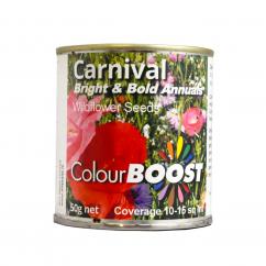 Wildflower Carnival Bright & Bold 50g tin image