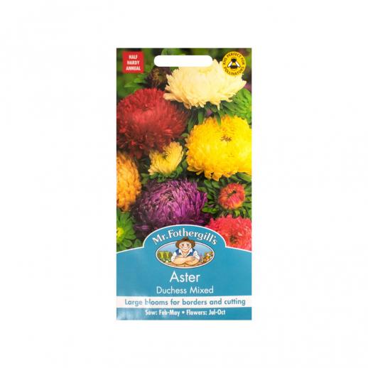  Aster Duchess Mixed