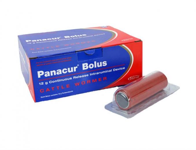 Panacur Continuous Release Cattle Wormer Bolus 