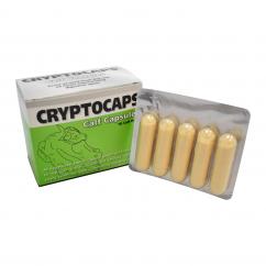 Crypto Capsules image