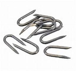 Galvanised Staples 20mm Galv  image