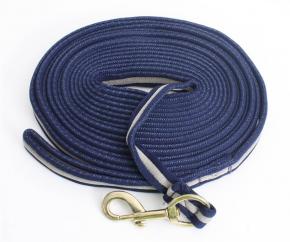 Coloured Soft Webbing Lunge Rein with Brass Clip  image