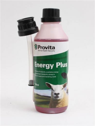  Provita Energy Plus 500ml