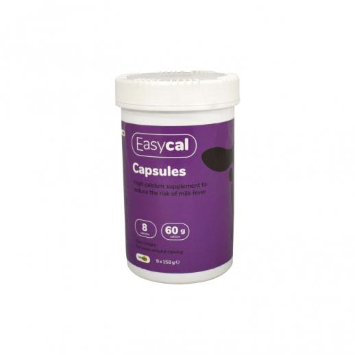  Animax Easycal Capsule PR4308 