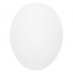 Plastic Nest Egg image