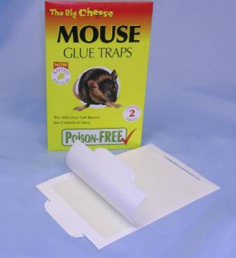  Big Cheese Mouse Glue Trap